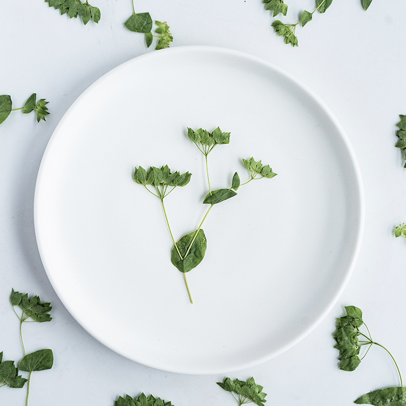 60 Pezzi di Erba con Orecchie  - Plant Parent Sticker recensione e prezzo